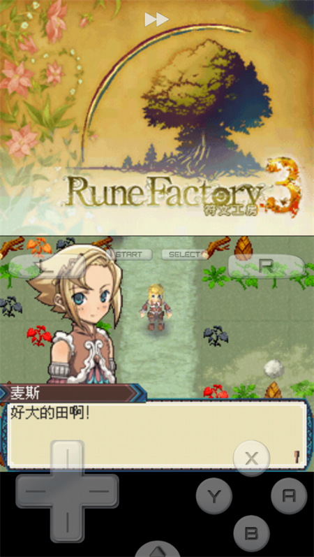 符文工房3手机中文版