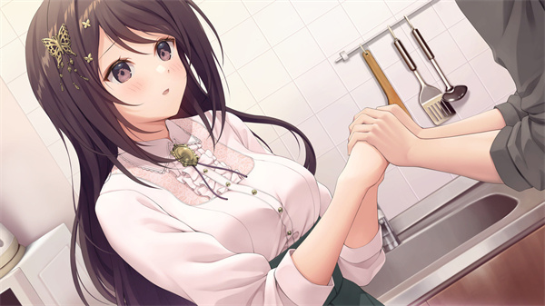 COSPLAY LOVE Enchanted Princess中文版