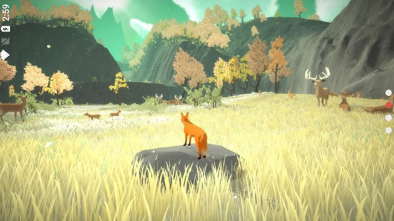 第一棵树中文版