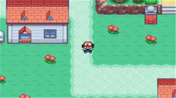 口袋妖怪圣灰内置修改器版