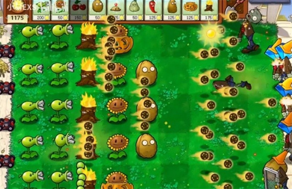 植物大战僵尸cl版下载