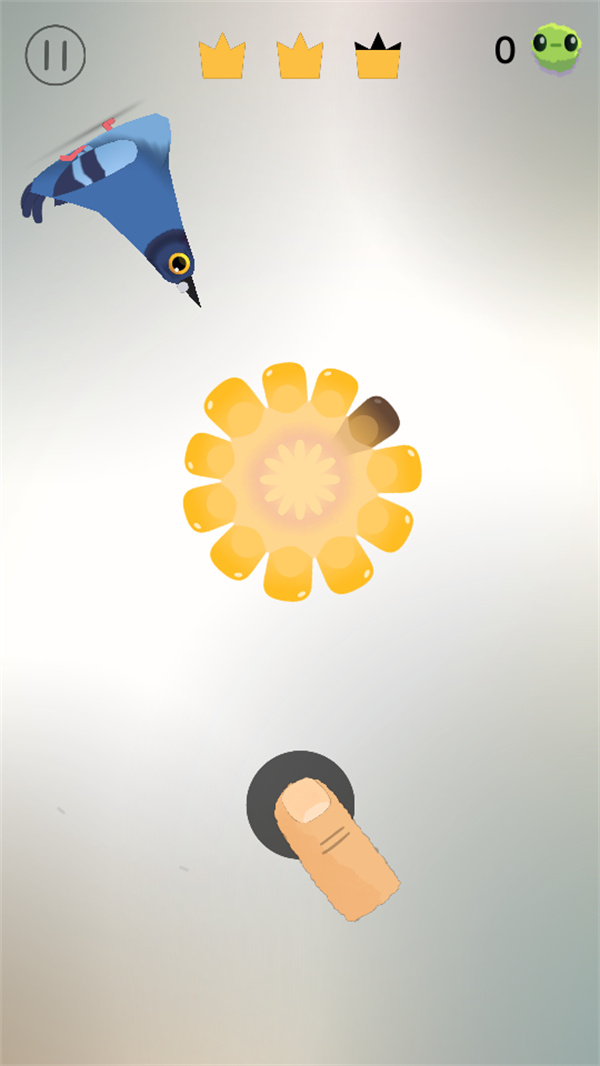 疯狂的鸽子游戏