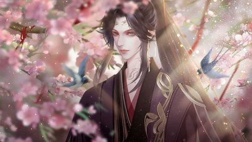 仅仅是外人清软破解版下载