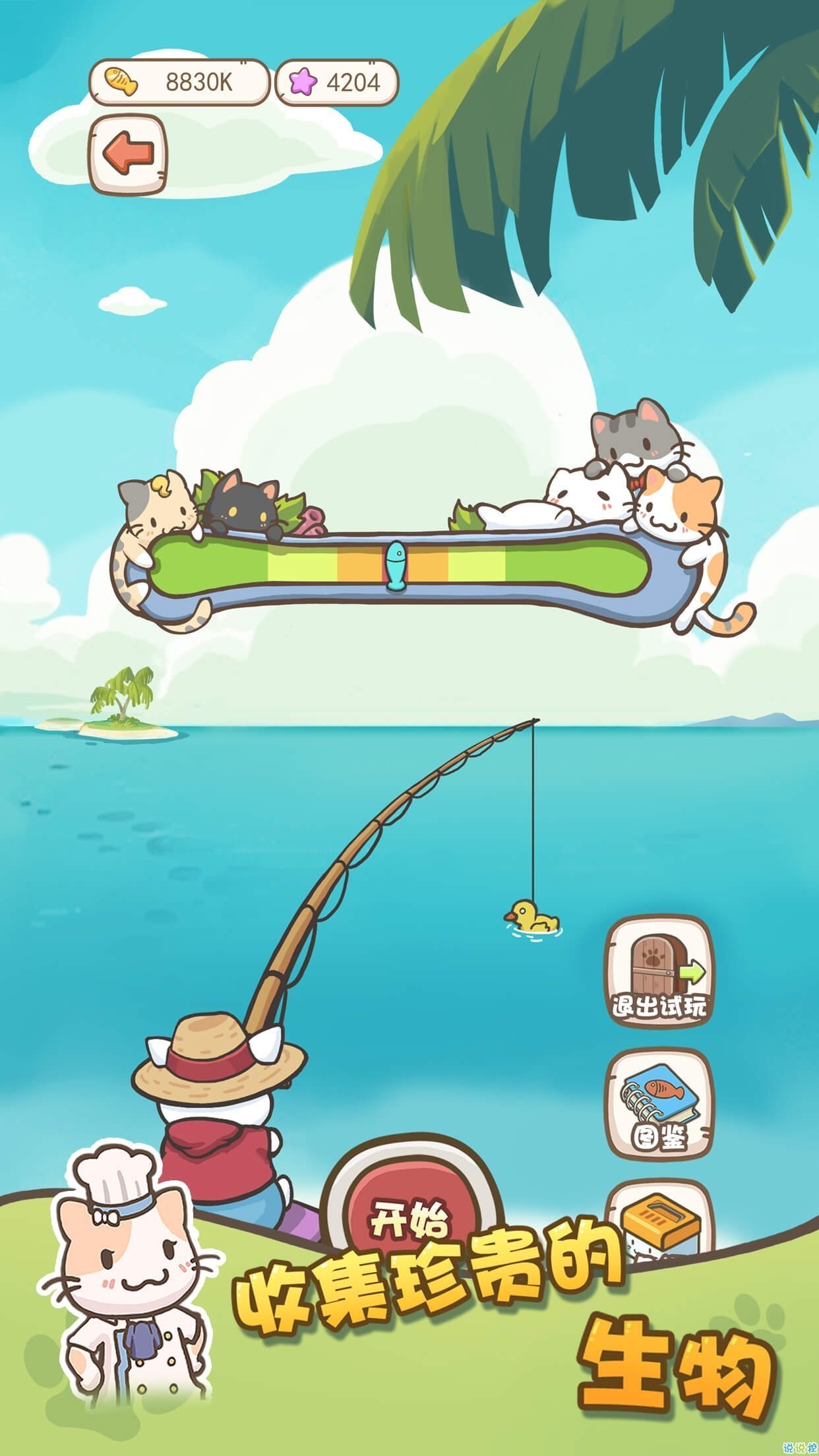 猫咪小院手机版