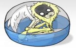 无限扭蛋免费版