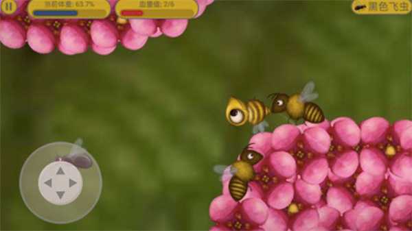 美味星球老鼠和猫免费版