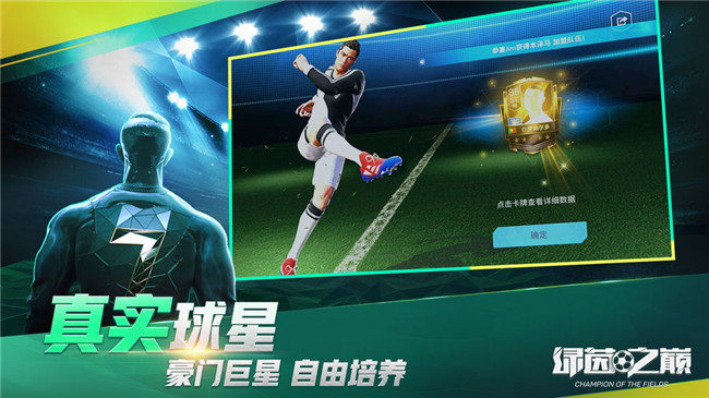 绿茵之巅无限球员版