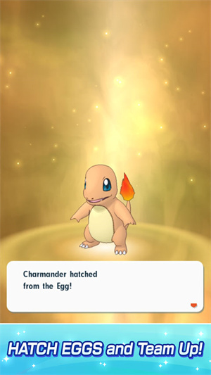 宝可梦大师EX联机对战版