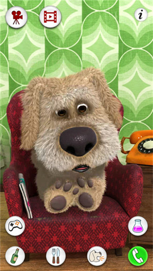 会说话的狗狗本国际版