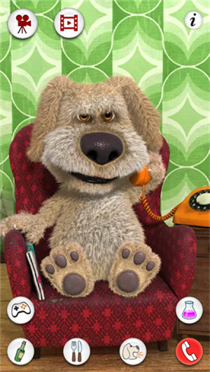 会说话的狗狗本国际版