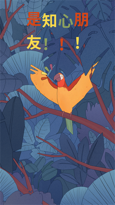 孤独的鸟儿中文版