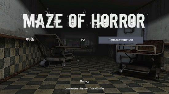 Maze Of Horror联机版