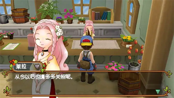 牧场物语蜜糖村和大家的心愿中文版