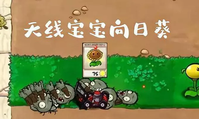 植物大战僵尸废物版