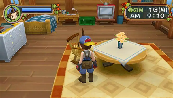 牧场物语蜜糖村和大家的心愿中文版