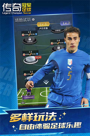 传奇冠军足球折相思版