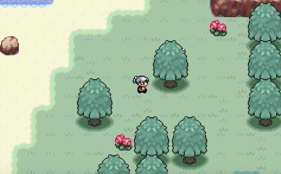 口袋妖怪火箭队汉化版