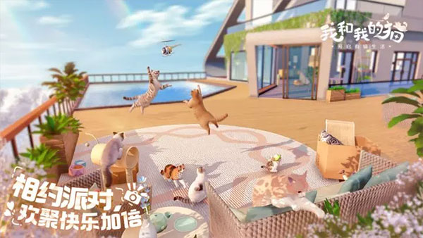 我和我的猫最新版
