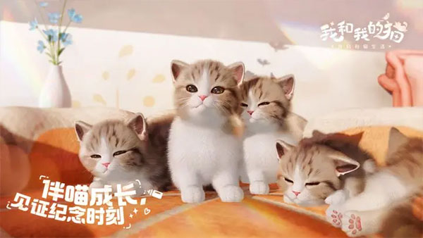 我和我的猫最新版