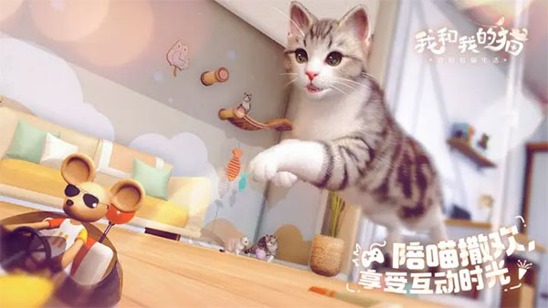 我和我的猫最新版