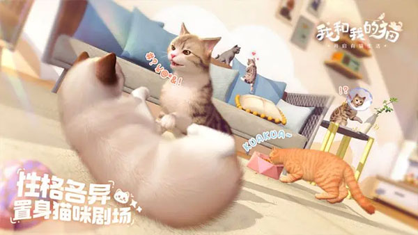 我和我的猫最新版