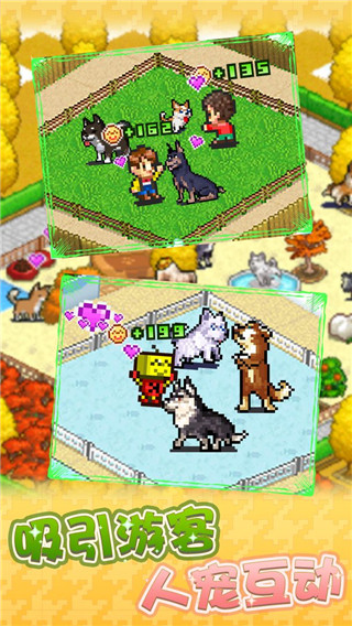 开罗发现汪星人游戏