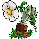 植物大战僵尸e版支线下载