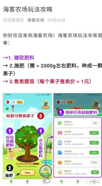 多多花园安卓版
