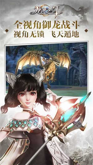 龙魂之剑无限钻石版