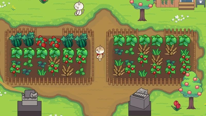 猫咪森林露营地的故事最新版