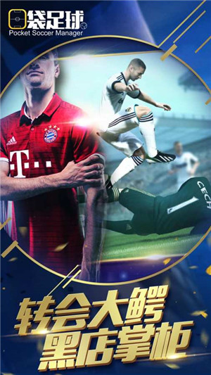 口袋足球中文版