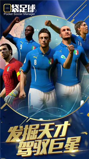 口袋足球汉化版