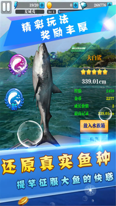 天天爱钓鱼免费版