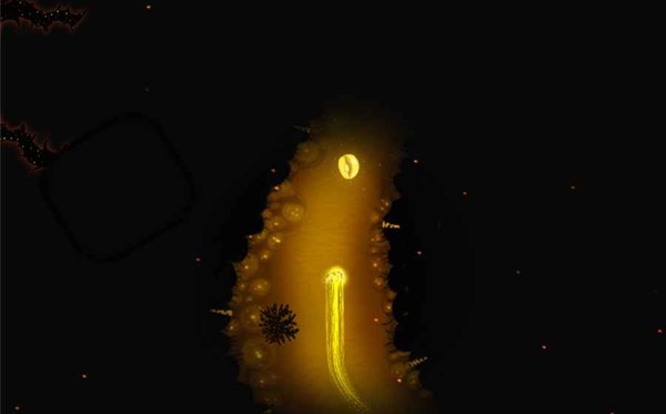 生命之潮最新版