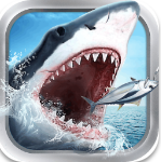 全民钓鱼内购版