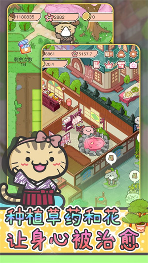 动物病友会免费版