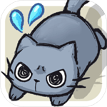 天天躲猫猫最新版