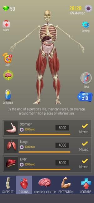 Idle Human游戏安卓汉化版 v1.0