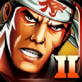 武士2复仇中文版安卓正版
