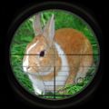 兔子狩猎3D游戏官方版（Rabbit Hunting 3D）