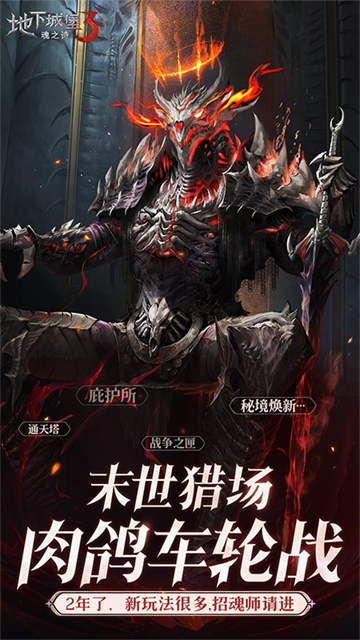 地下城堡3魂之诗华为版