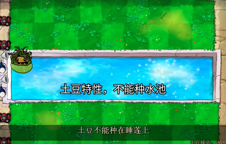 植物介绍截图6