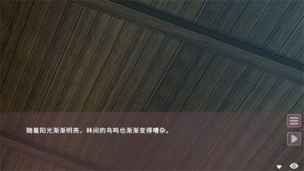 游玩教程截图3