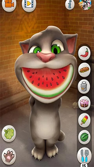 会说话的汤姆猫原始版
