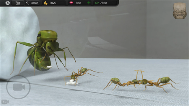 蚂蚁模拟大亨(Ant Sim Tycoon)